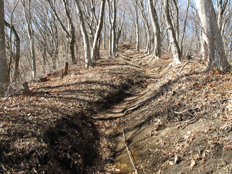 20180116hike (56)